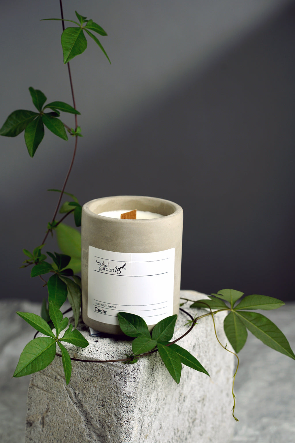 Wood Wick Cement Container Jar Candles For Home,Coffee Shop,Gift Giving - White Tea , Cedar